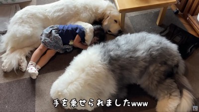 前足を乗せてる！