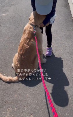 今ではすっかり仲良しに