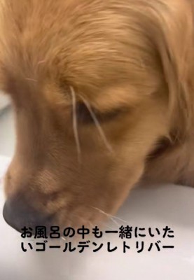 ひまりちゃんが侵入！！