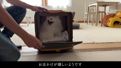 「どこに行くの！？」