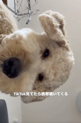 とにかく気になる