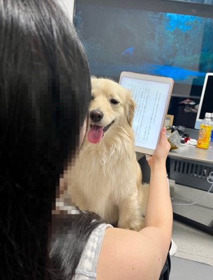 本を読もうとしたら