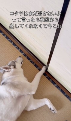 そっと閉める！