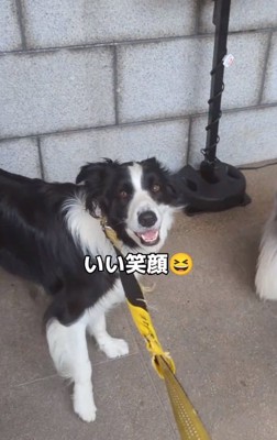 笑顔のジッピーくん