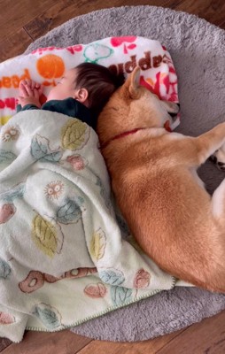 背中を寄せ合い眠るふたり