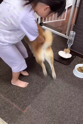 追いかけっこする2人