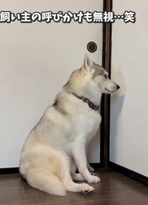 呼びかけに応じない