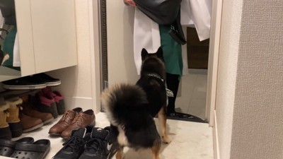 まずは匂いをチェック！