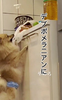 スクスク成長したね!