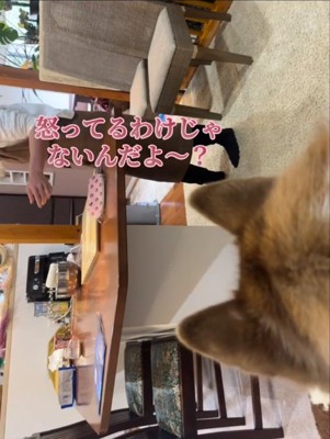 パンを作るママ2