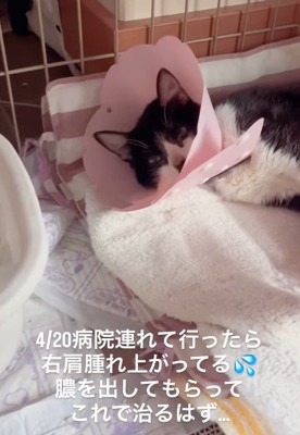 病院で処置を受けることに