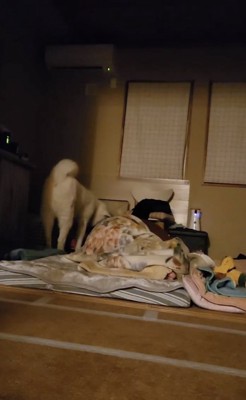 まさかの水分補給