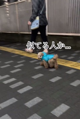 3度見するちびちゃん