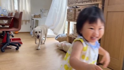女の子を追いかけて…