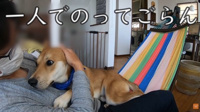 お父さんが降りようとしたら…