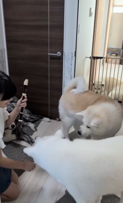 「呼んだ〜？」