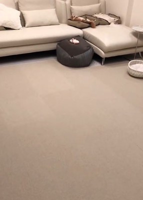 犬用のベッドが2つ