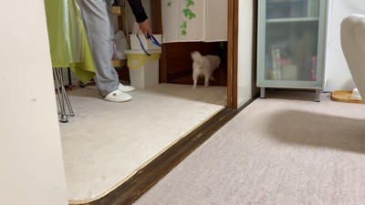 最後は逃走!