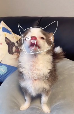 目をなぞる投稿主さん