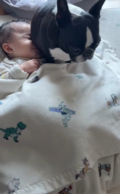 こんぶちゃんと赤ちゃん6