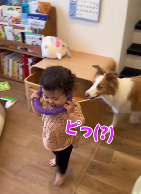 おもちゃを首にかける子供の後ろに犬
