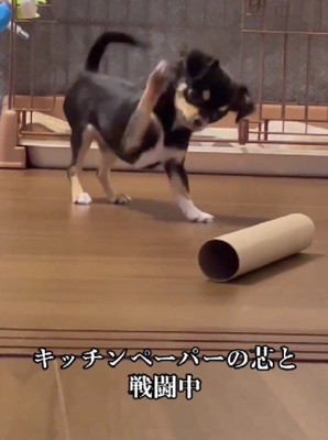 大きく振りかぶって…