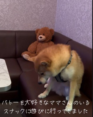 ここは特等席!?