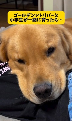 アルトくんと子どもたちの日常