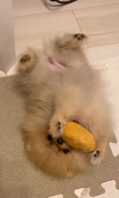 元気に成長しています♪