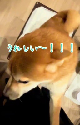 幸せあふれる光景にホッコリ