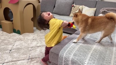 ぬいぐるみを取られた!