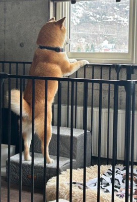 窓の外を見ているのは…