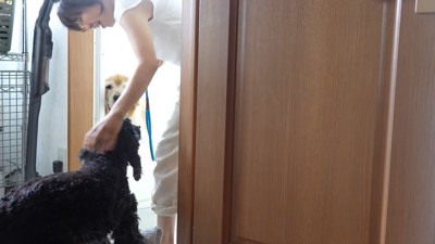 結局、リードで強制連行!