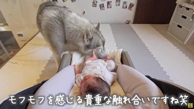 可愛い触れ合いにホッコリ♡