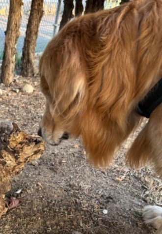 距離を詰めると…