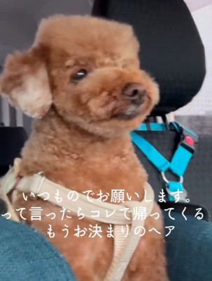 合言葉は「いつもの」