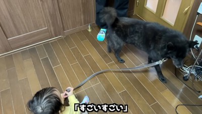 みーちゃんが転ばないように気遣い！