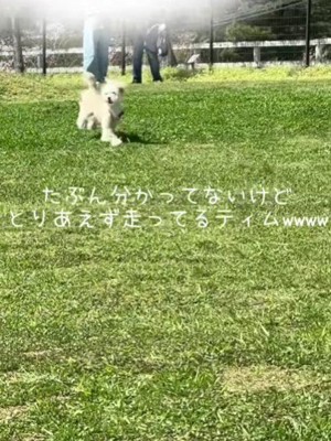 とにかく走る！！