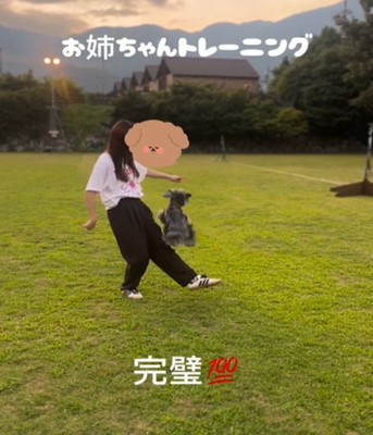 ジャンプする犬2