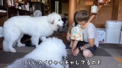 パパとろのちゃんがイチャイチャしてると…