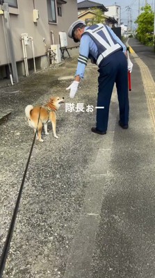 犬に手を差し出す男性