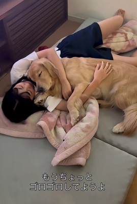 ちょっとだけゴロゴロ