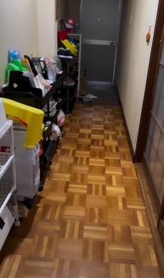 隠れている小型犬