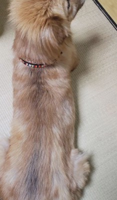 徐々に健康な状態に