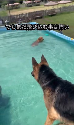 プールで特訓するエースくん6