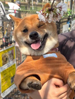 元気になってよかったね!!