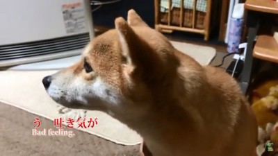 吐き気を催すハナちゃん