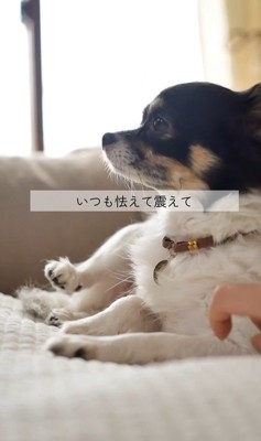 しずくちゃんの変化3