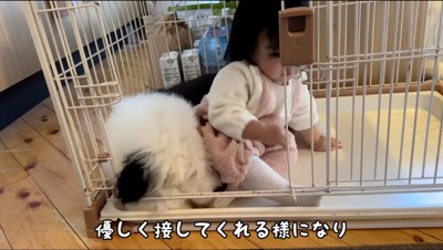 お尻で子犬を踏んづける赤ちゃん