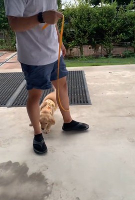 足元をちょろちょろ…